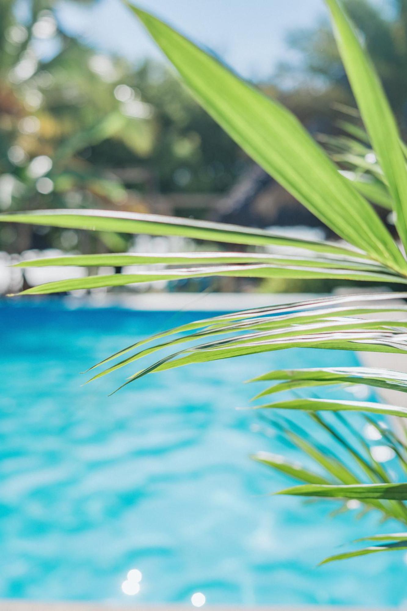 Bella Vista Resort Zanzibar Kizimkazi Buitenkant foto