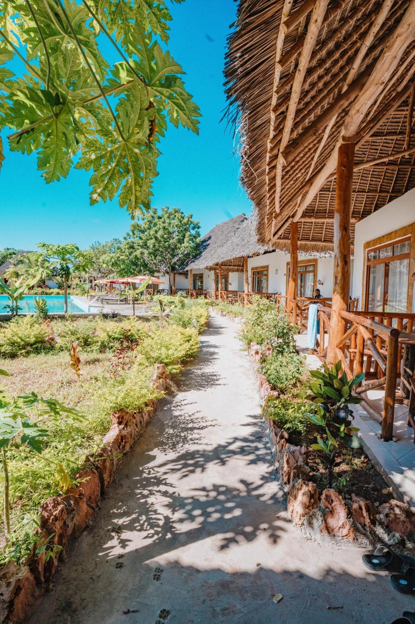 Bella Vista Resort Zanzibar Kizimkazi Buitenkant foto